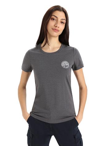 Dámské Tričko Icebreaker Merino Central Classic Krátké Sleeve Move to Natural Mountain Stříbrné Šedé | CZ 1386ILHS